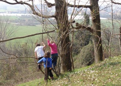 bambini che si arrampicano su un albero presso un asilo nel bosco