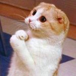 agen judi slot online